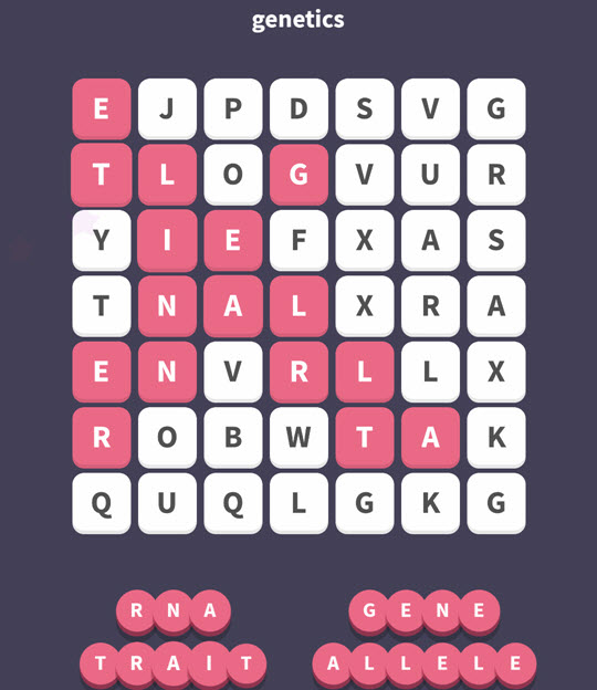 November 17 2017 - WordWhizzle Search Daily Puzzle Answers